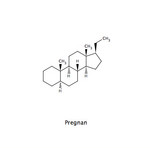 Pregnan