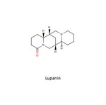 Lupanin