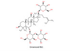 GinsenosidRb1