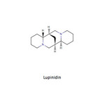 Lupinidin