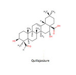 Quillajasaeure