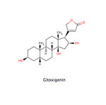 Gitoxigenin