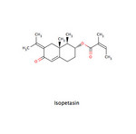 Isopetasin