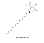 Lichesterinsaeure