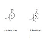 PinenBeta